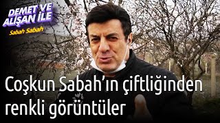 Demet Ve Alişan Ile Sabah Sabah Coşkun Sabahın Çiftliğinden Renkli Görüntüler