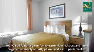 Quality Inn Suites Springfield Southwest near I-72 Hotel in Springfield Illinois