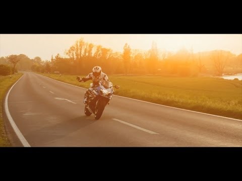 Vecci87 - BAD WOLF RISING