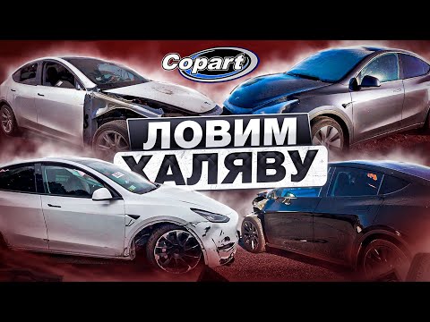 ЛОВИМ ХАЛЯВУ! Tesla Model Y (2 Выпуск)