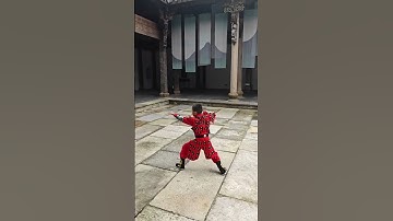 一招一式，尽显中华武术魅力！传统与力量的完美结合，令人叹为观止！ #kungfu #wushufight #huangyanmartialarts #taekwondo #martialarts