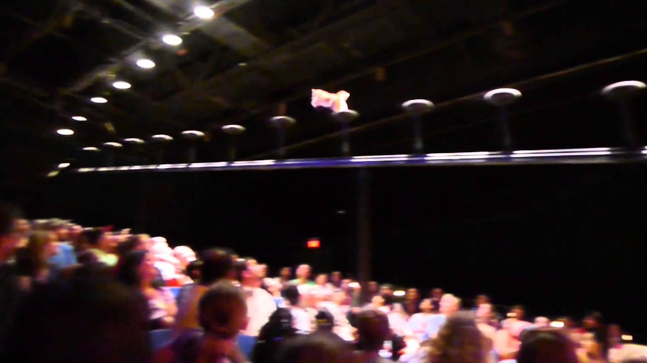 Pets Ahoy at Seaworld, Orlando YouTube