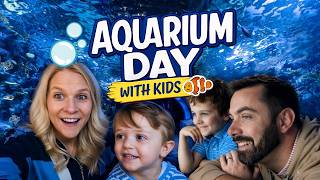 Newport Aquarium with Kids | One of Our Favorite Days in Cincinnati 🐠