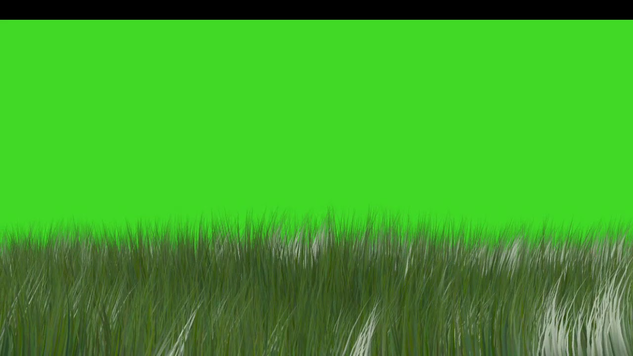 Green screen grass illusion - YouTube