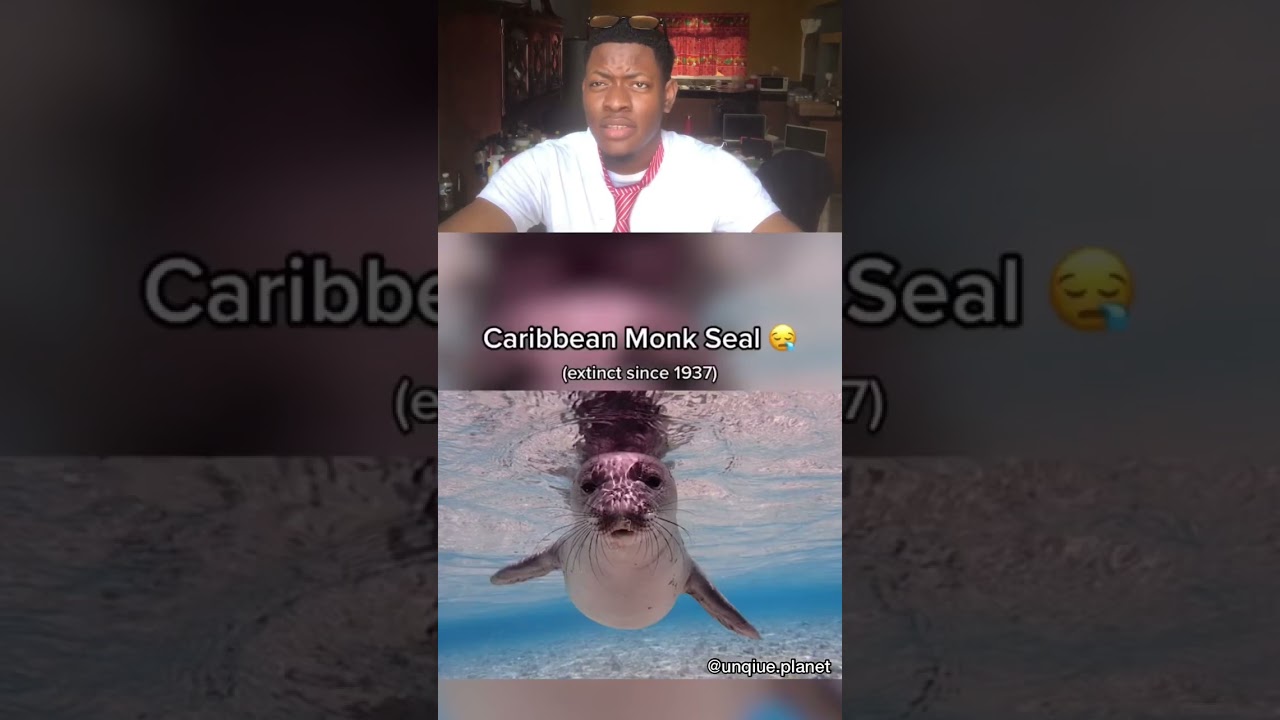 Last Pictures of extinct Animals😔 