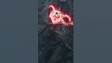 This Spectator Pet is AMAZING in #bg3 #baldursgate3 #baldursgateiii