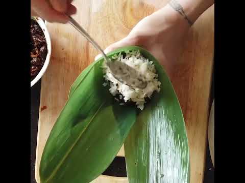 Pork Rice Dumpling Recipe SongHe Rice