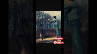 Ален Делон и его собаки в поместье под Парижем #аленделон #art007