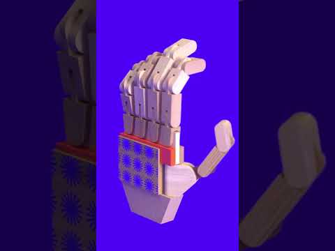 Bliss Fest, Amsterdam, Aug. 2nd. Let’s go! Animation by Michael Fragstein #onguitars #bass #guitar