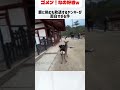 鹿に挑むも敗退するヤンキーが面白過ぎる #おもしろ #ヤンキー#鹿#奈良#敗退#ヤンキー