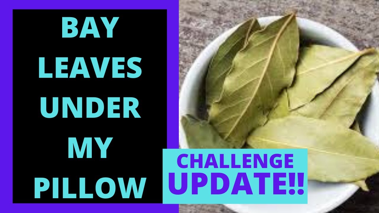 UPDATE I put my bay leaves under my pillow! Does manifesting with bay