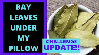 UPDATE - I put my bay leaves under my pillow! Does manifesting with bay leaves really work? YES!!!