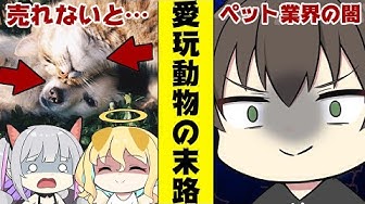 竹花ノート Youtube 竹花ノート Youtube
