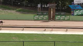 HVL SUN 07 MAR 21 R12