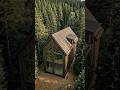 Modern Timber Cabin Construction Timelapse