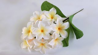 Plumeria Obtusa Paper Flower/ How To Make Plumeria Obtusa Flower From Crepe Paper/ Craft Tutorial