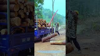 Clever Log Loading Hack: Lever Lifts Wood Onto Truck