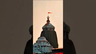 jagnath puri dham #lordkrishna #jagannath