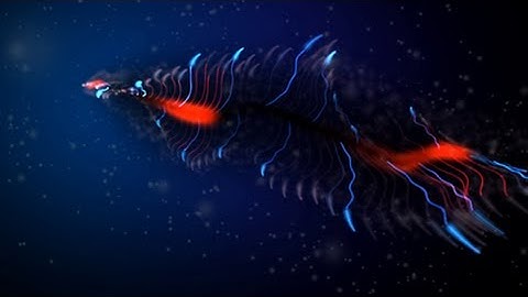 Neuron - TBC & Loonies | 4k | TRSAC 2013