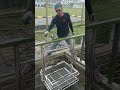 Stainless Steel Strainer