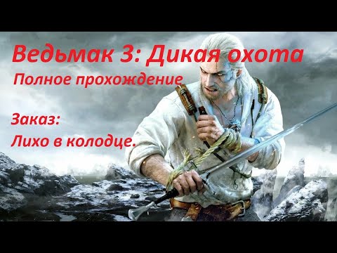 Прохождение: Ведьмак 3. Заказ: Лихо в колодце.