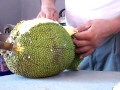 YAKA 2012 2