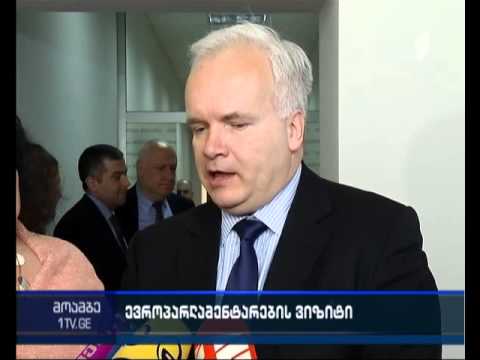 ევროპარლამენტის დელეგაცია ენმ-ის წევრებს შეხვდა