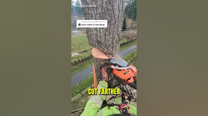 How To Cut Down A Tree