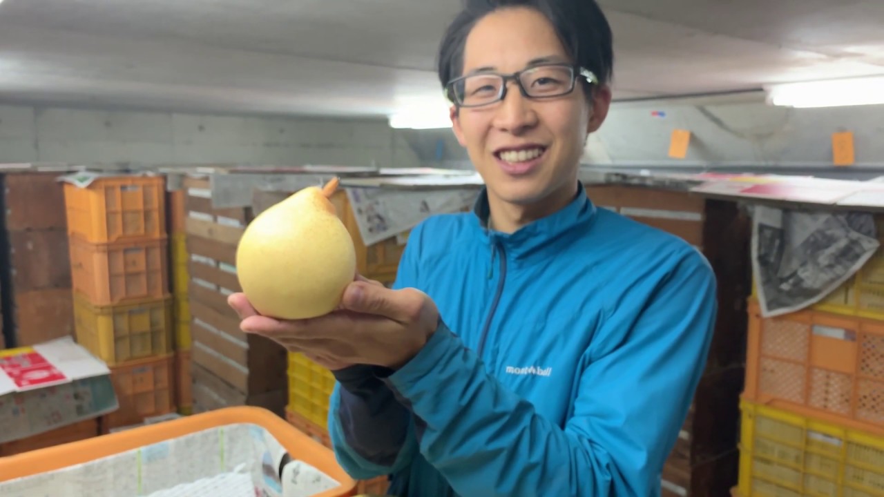 Atago Pear & Yari Variety Introduction and Storage Methods