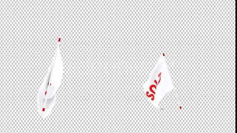 Flag Transition - Sold | Motion Graphics - Envato elements