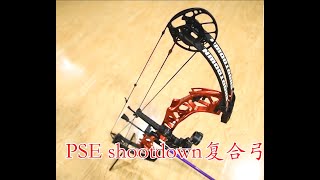 PSE SHOOTDOWN (red) PSE 击落(红色)
