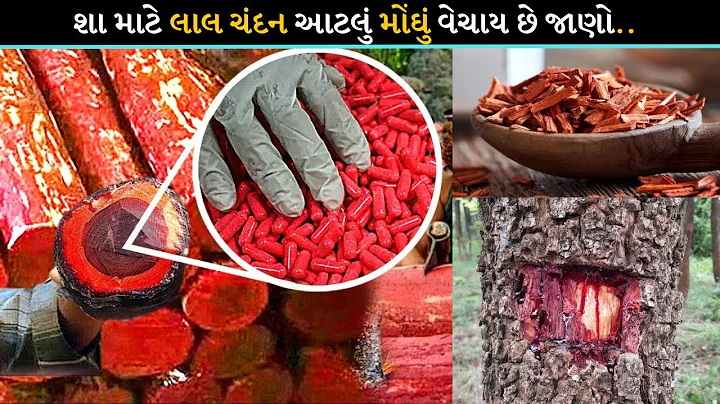 શા માટે લાલ ચંદન આટલું મોંઘું વેચાય છે જાણો..