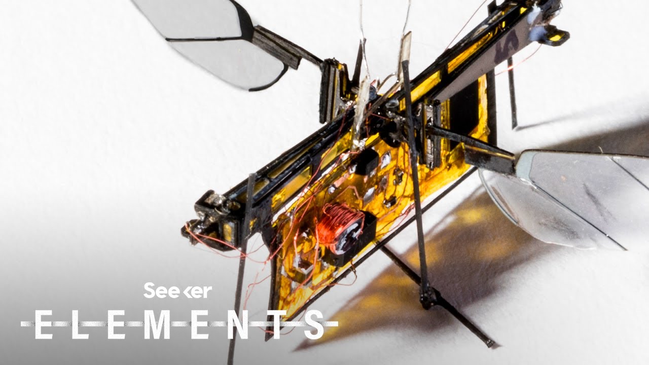 Meet the Autonomous Insect Robots that will one day Swarm the Skies Meet the Autonomous Insect Robots that will one day Swarm the Skies