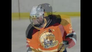 2007 DAHL Playoff Slideshow