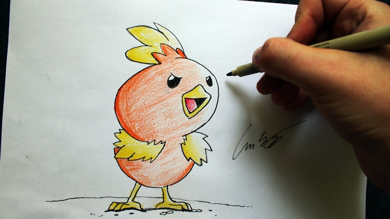 Como Desenhar o Torchic [Pokémon] - (How to Draw Torchic) - STARTERS #8 ...