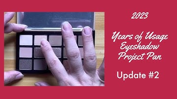 2023 Years of Usage Eyeshadow Project Pan | Update #2