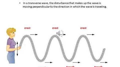 Presentation Module 15 1