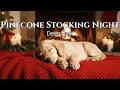 🔴 12 Hours Pinecone Stocking Night: Red Blanket Fireplace & Puppy Music for Christmas HD ✨