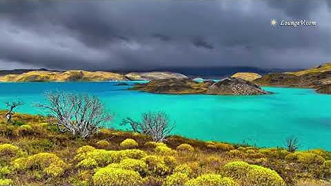 صوت يخاطب القلوب للقارئ |عبدالمجيد فقيه|