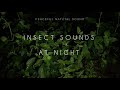 Insect Sounds At Night ASMR | Peaceful Natural Sounds