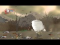 Castle Crashers Panda charecter gameplay