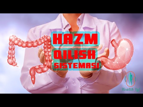 Video: Ferretsda Ovqat Hazm Qilish Tizimining O'smalari