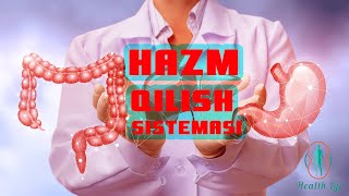 Hazm qilish sistemasi a'zolari anatomiya va fiziologiyasi