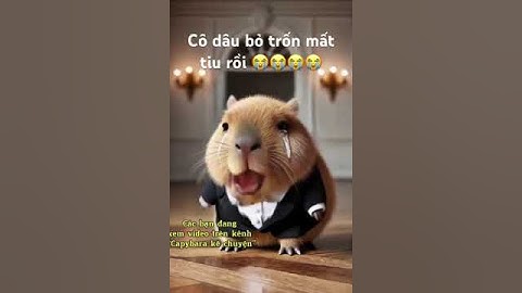 Capybara chú rể khóc vì cô dây bỏ trốn mất tiu 😭😭😭 ai kiếm về dùm em với #shortsviral #capybara