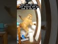 She Kick Me Out 😭😂😂 #funny #shorts #relatable #pov #comedy