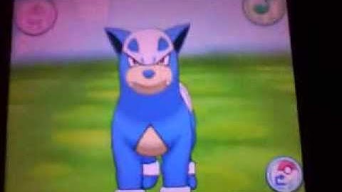 Hatched Shiny Houndour via Masuda Method in Pokemon X