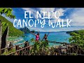 【フィリピンエルニド島】EL NIDO CANOPY WALK 2022  山登りました!