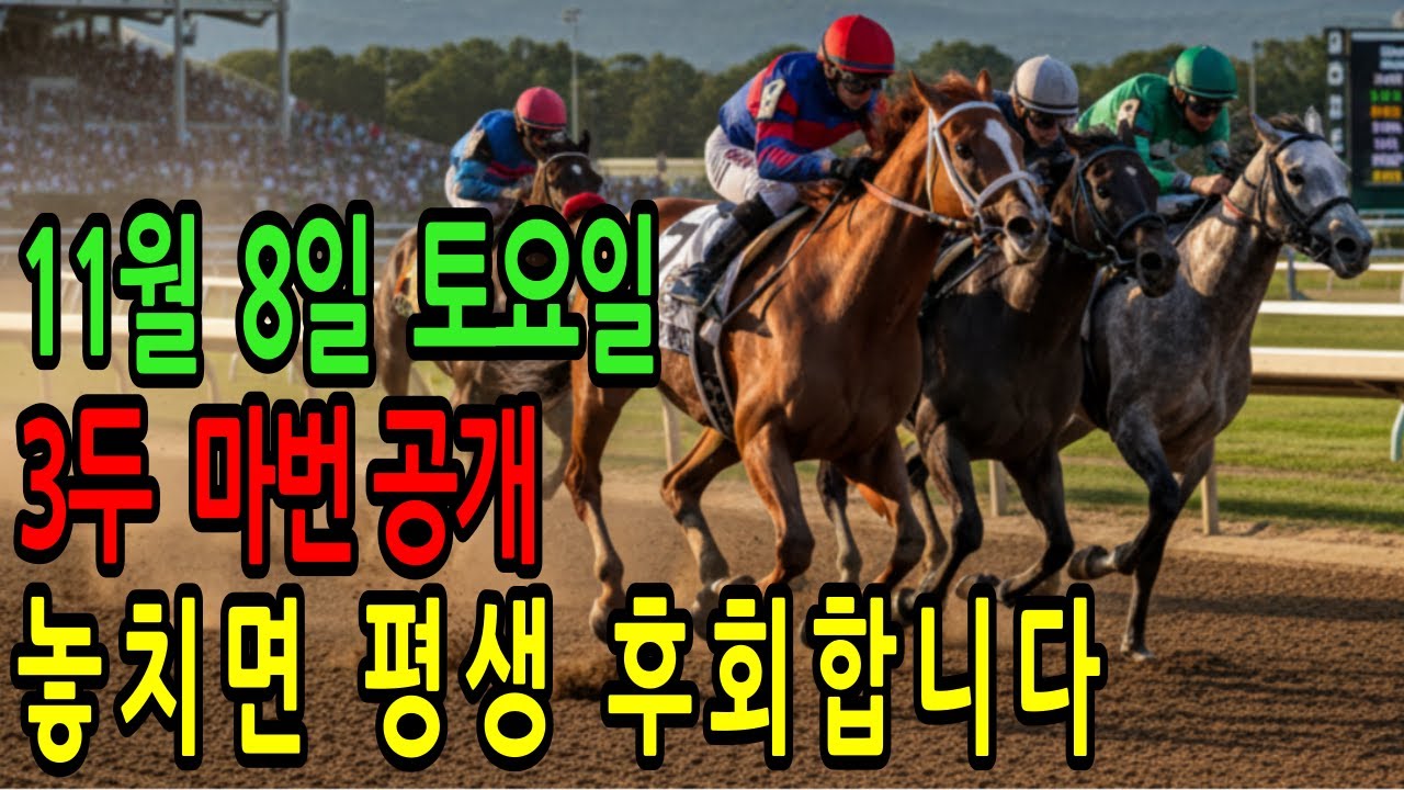 11월 8일 토요일 경마~“승부수는 한 번뿐, 이번이 그 순간이다”ㅣ승전경마 전문가의 이변 포착 l 경마 l 경마예상 l 코리아레이스 l 검빛경마 ㅣ경마정보