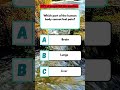 Which part of the human body cannot feel pain? #quiz #backache #soreback #weakmuscles #soremuscles
