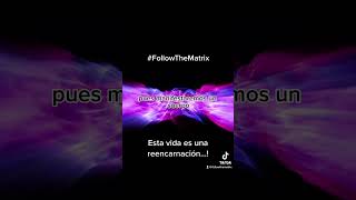 Cuando comienza la vida? by Follow The Matrix - Community -. 9 views 11 months ago 6 minutes, 7 seconds